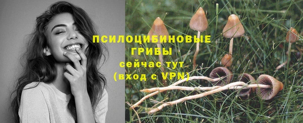 дурь Саяногорск