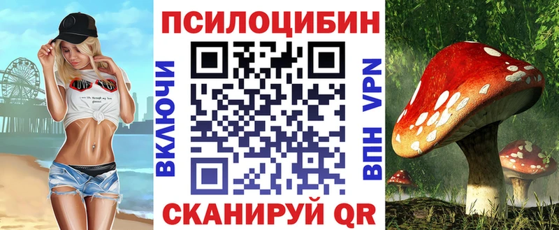 Галлюциногенные грибы Psilocybe  Белинский 